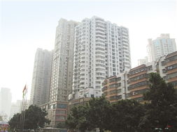 两地车牌政策调整 珠海楼市迎短暂波动 替代政策或助力实业投资