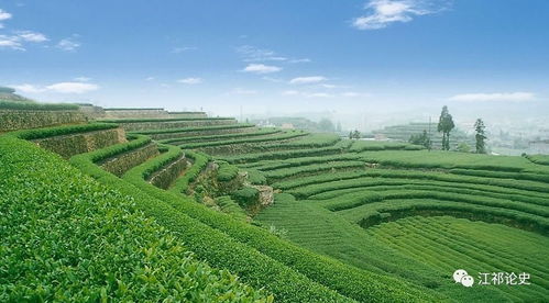 蔡锷主政云南时期的实业兴办与发展