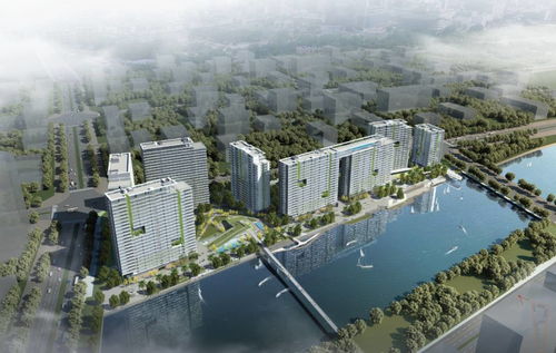 深圳近期楼市动态 会展湾水岸公寓销售火爆，兴办实业热潮助推房价